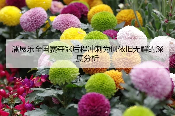潘展乐全国赛夺冠后程冲刺为何依旧无解的深度分析
