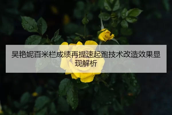 吴艳妮百米栏成绩再提速起跑技术改造效果显现解析