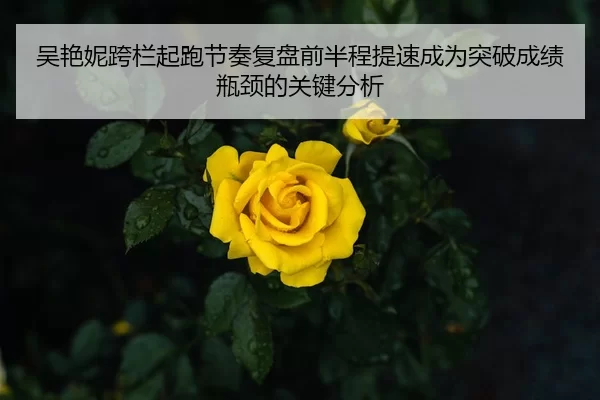 吴艳妮跨栏起跑节奏复盘前半程提速成为突破成绩瓶颈的关键分析