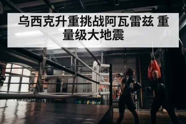 boxer training